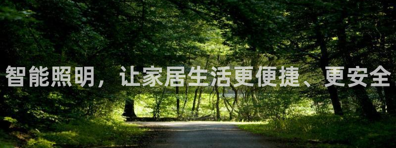 云顶国际服在哪下载