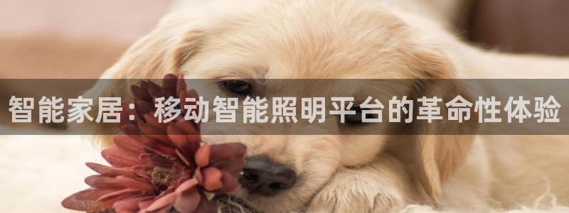 云顶国际百姓渔村怎么样