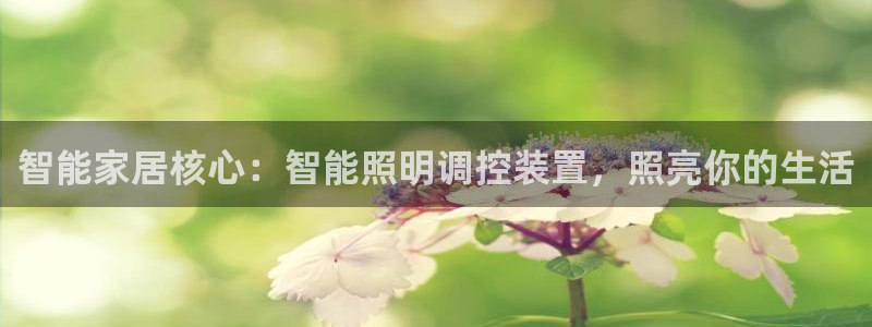 云顶国际服和端游互通吗