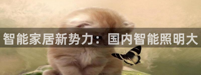 4008浏览器云顶下载