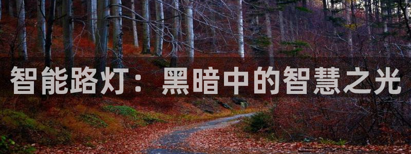 最新版云顶攻略