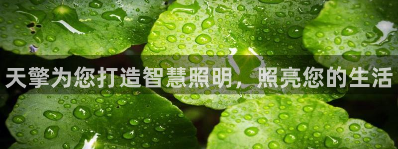 云顶国际服S9什么时候更新