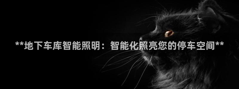 云顶国际是做什么的公司