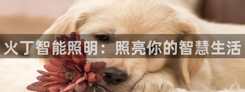 云顶集团有限公司简介电话