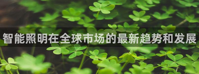 云顶国际官网登录
