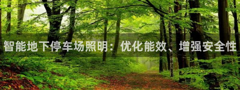 云顶集团网投领头