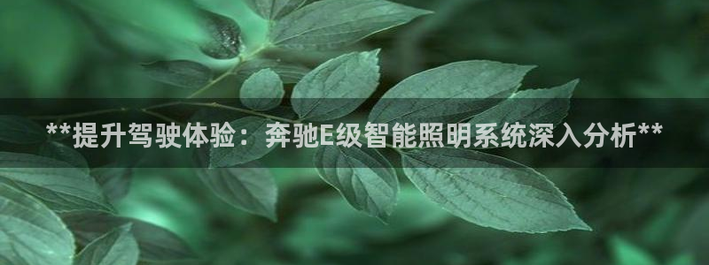 云顶国际黄钊华