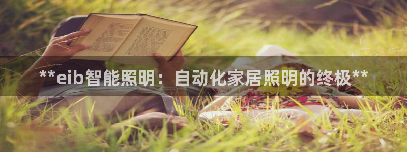 云顶国际服名字不可用