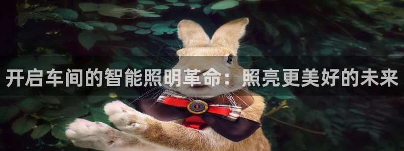 云顶国际有限公司