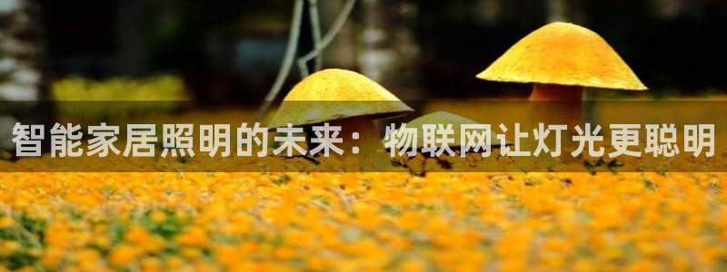 云顶国际公馆户型图