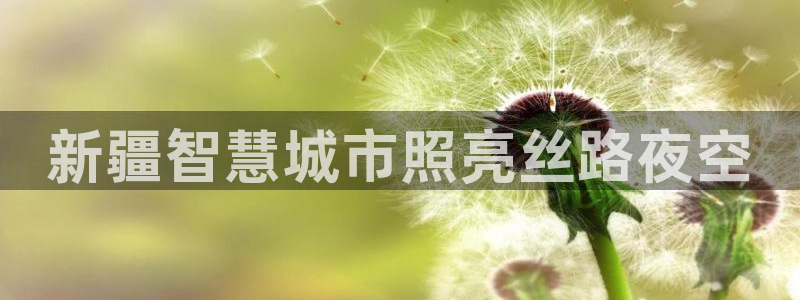 云顶集团网站多少