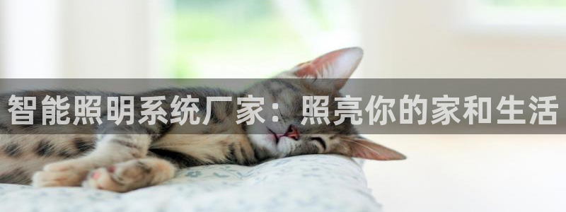 云顶国际app怎么样好用吗