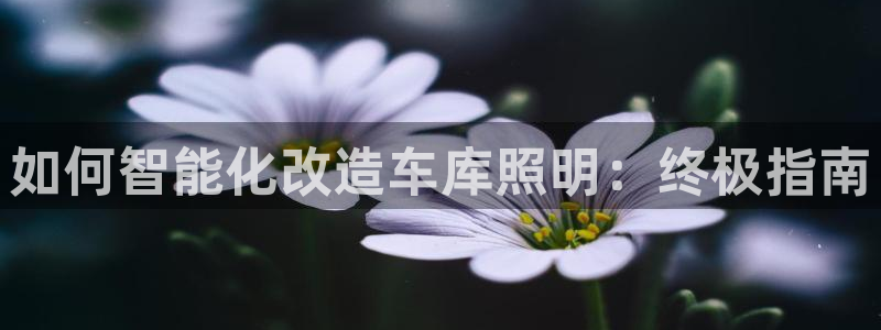 禹州云顶国际二手房