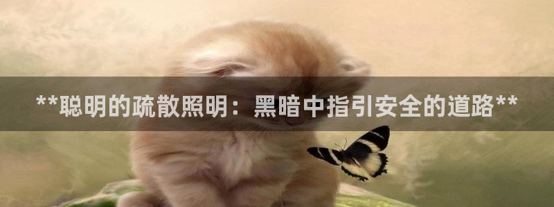 云顶集团游戏入口