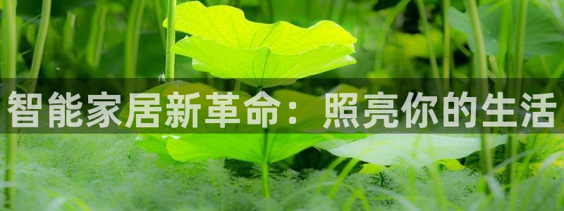 云顶集团总部在哪里