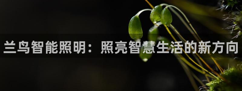 云顶集团林志华简介