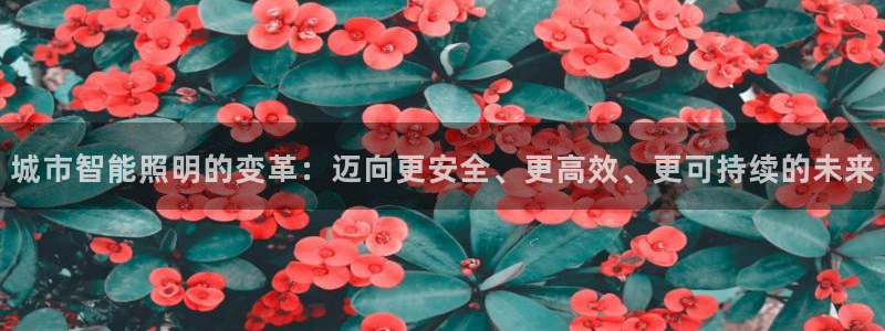 云顶国际酒店老板是谁