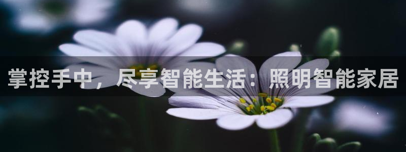 云顶ktv国际会所
