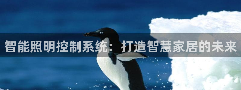云顶国际城手机网址