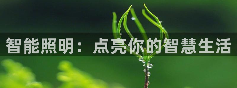 lol云顶1v0