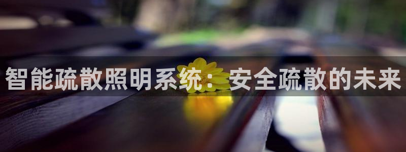 中国云顶集团