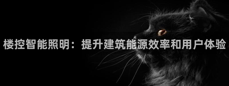 云顶国际ktv宁波