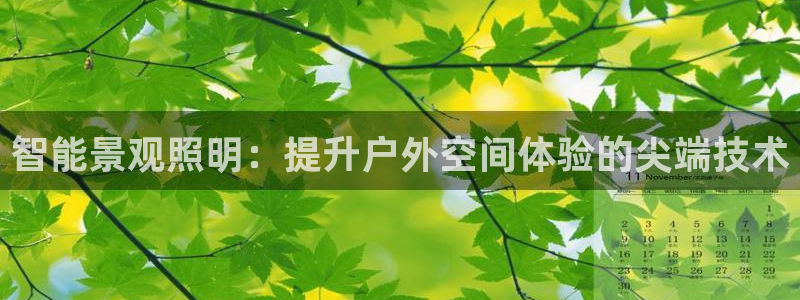 云顶电玩城游戏官网