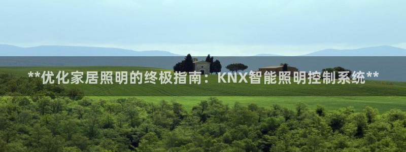云顶国际服s11