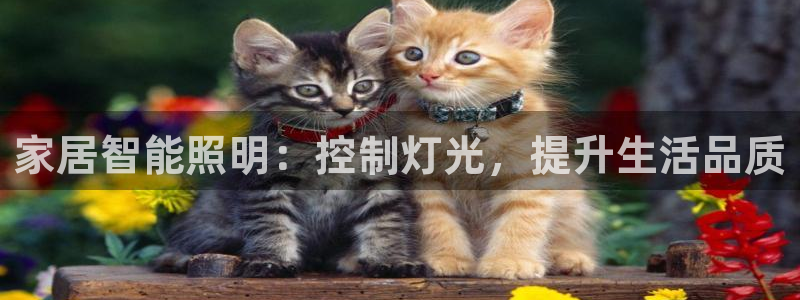 云顶国际app官方下载安装最新版