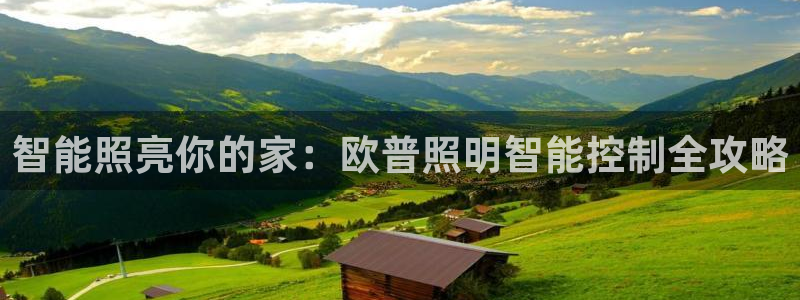 云顶集团公司