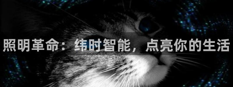 云顶网上官网