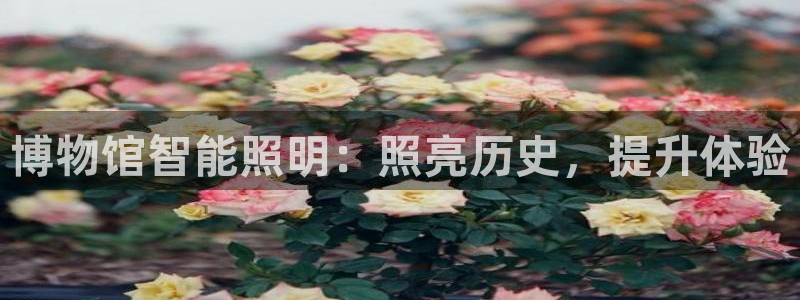云顶国际服怎么玩