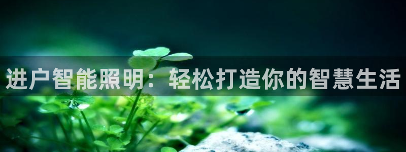 云顶国际服联机