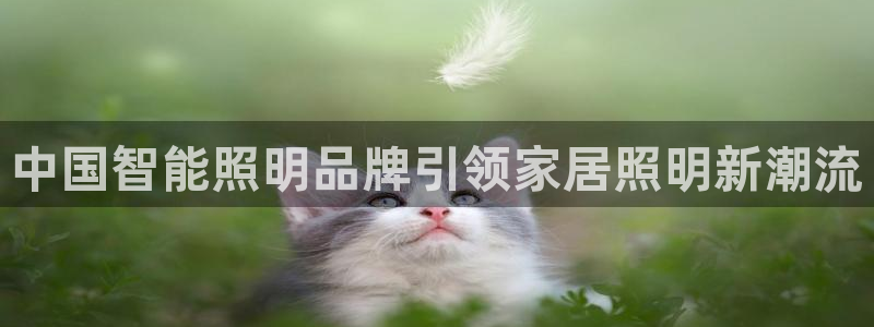 云顶国际KTV会所