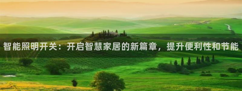 云顶国际旅行社官网