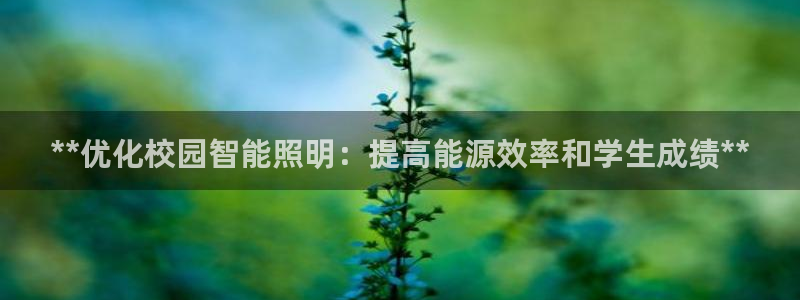 云顶最新线路检测