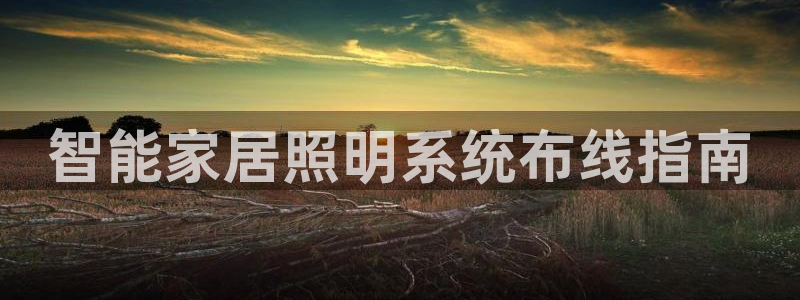 云顶国际平台游戏
