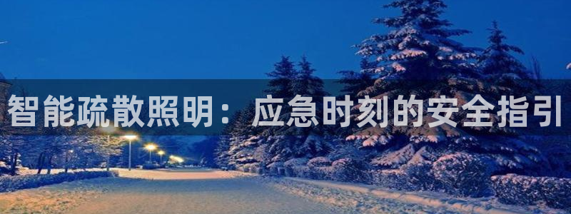 云顶国际平台游戏