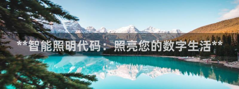 云顶国际是做什么的公司