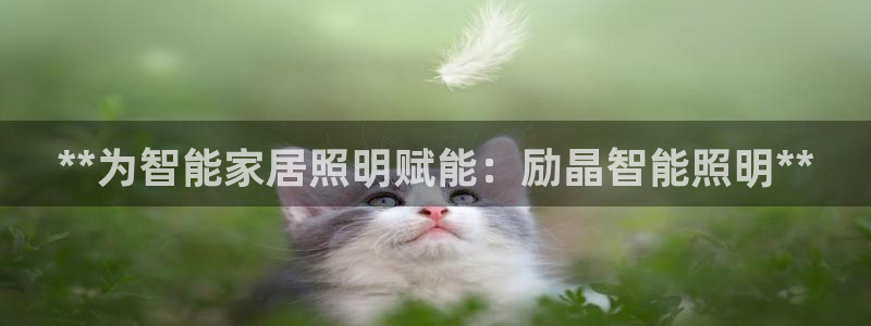 云顶集团网站是多少
