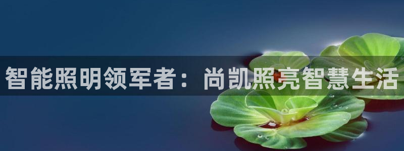 云顶集团游戏app网页版