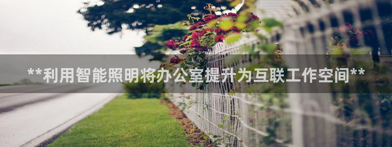 云顶国际服怎么更新