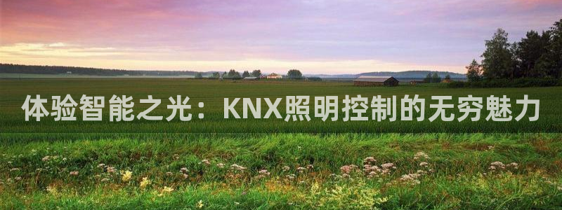 云顶集团游戏app苹果版