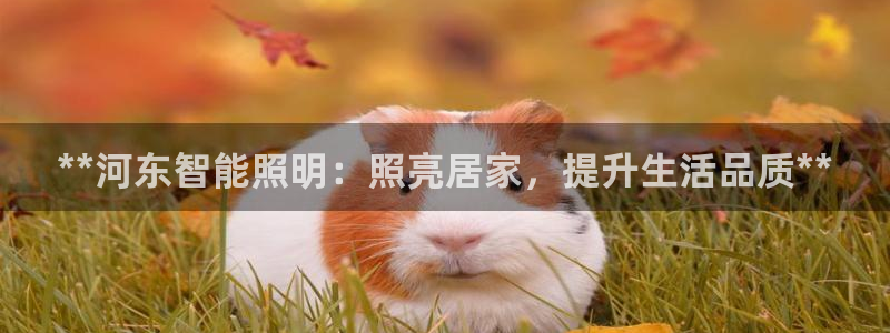 云顶com