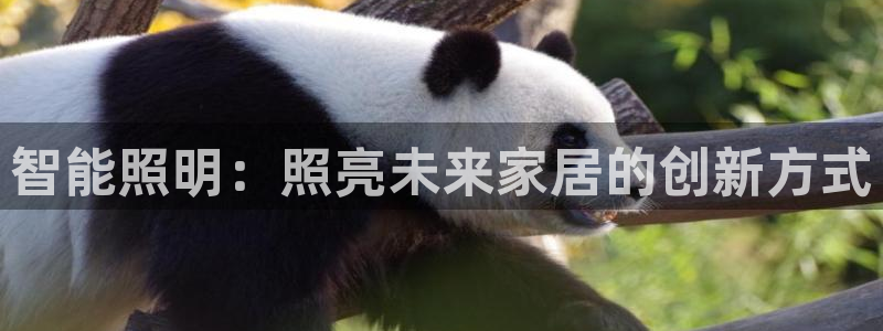 云顶国际服更新了吗