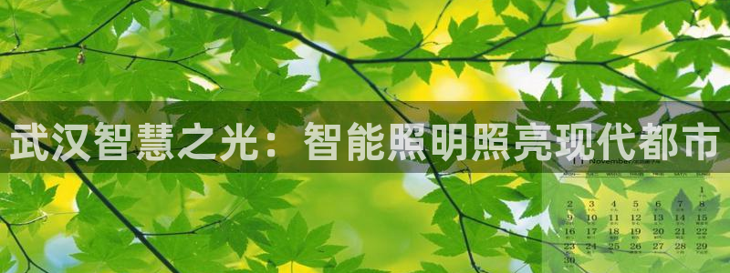 云顶国际提现不到账怎么办