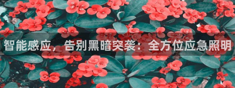 云顶国际公馆多少层楼