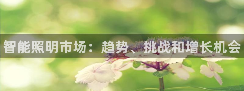 云顶国际网站可靠吗