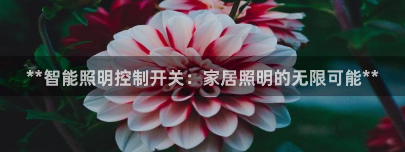 云顶国际服更新时间是多久