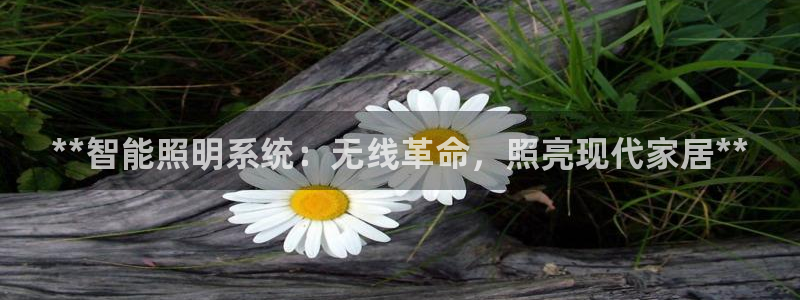 云顶国际服叫啥